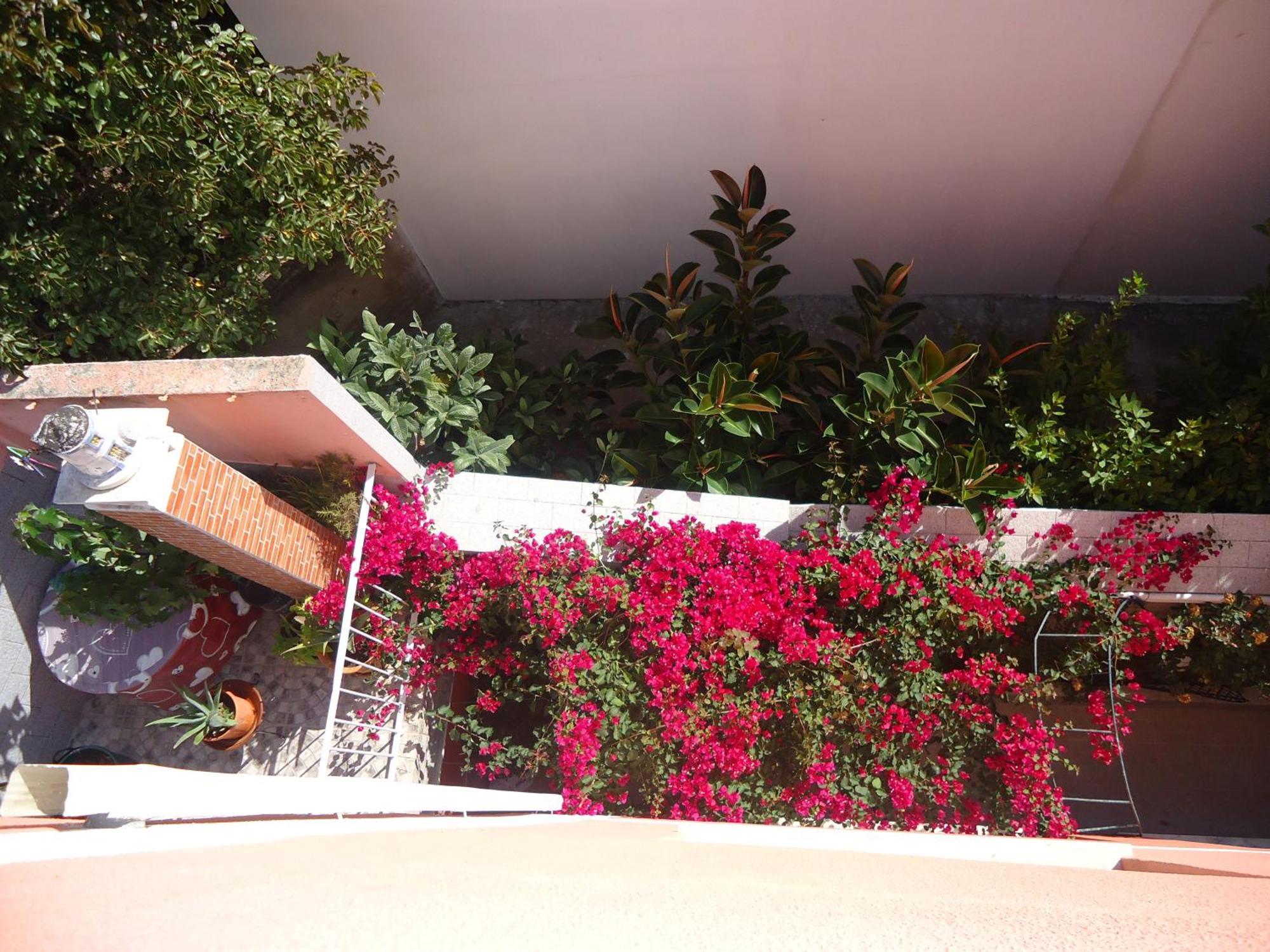 Hotel Aviz Figueira da Foz Exteriér fotografie