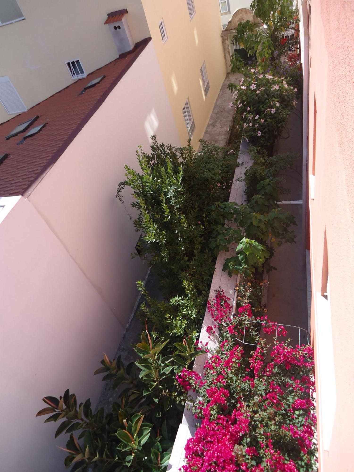 Hotel Aviz Figueira da Foz Exteriér fotografie